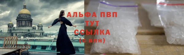 дмт Магас