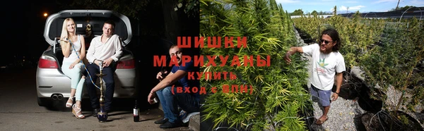 ешки Лиски
