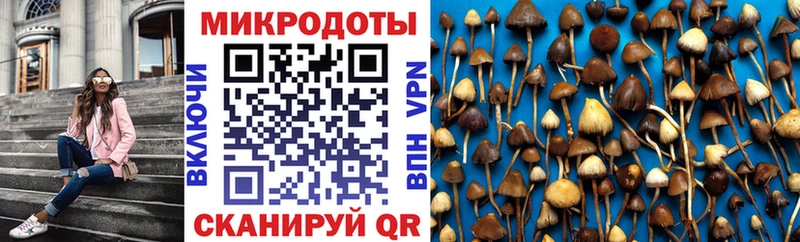 Галлюциногенные грибы Cubensis  Купить  Заполярный 